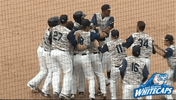 Excited Detroit Tigers GIF by West Michigan Whitecaps 