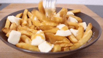 geofferiswheel poutine fries cheese gravy GIF