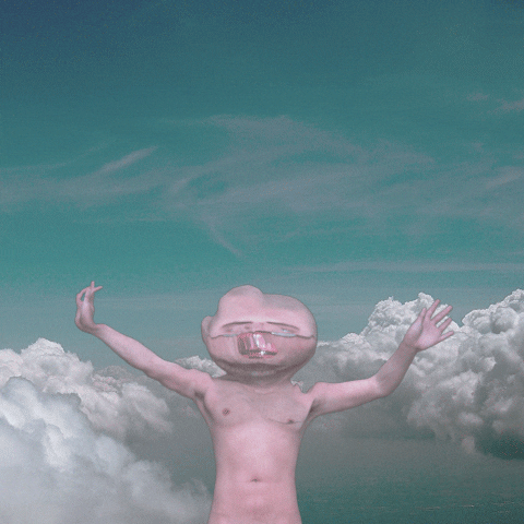 3D Lol GIF by Joel Cares