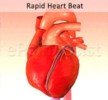 Rapid Heart Beats Gifs Get The Best Gif On Giphy