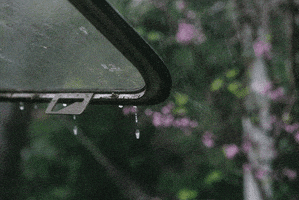 rain drizzle GIF