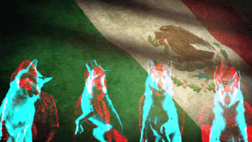 mexico wolves GIF by Rise Against