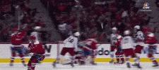 awesome hockey GIF by Capitals