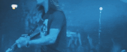 around the world and back concert GIF by State Champs