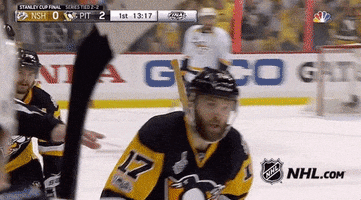 stanley cup finals hockey GIF by NHL