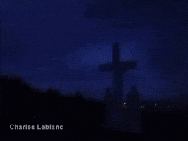 andrefaust  GIF