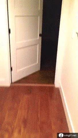 melgar  GIF