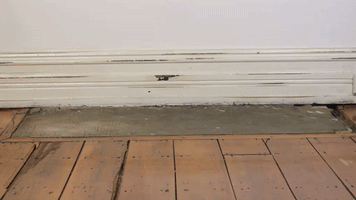 wedlock leather shoes GIF