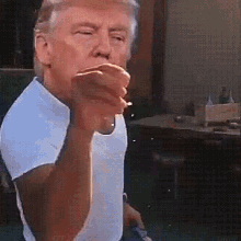 alvintims trump donald trump steak salt GIF