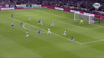 wesport  GIF