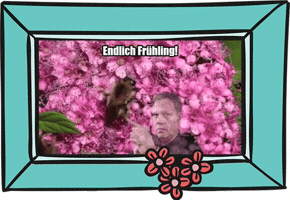 netzcoach  GIF
