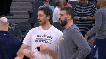 marc gasol brothers GIF by NBA