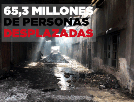 MSF_MX msf msf mexico GIF