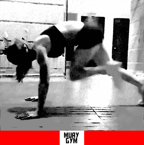 damiantoro fitness training legs cardio GIF