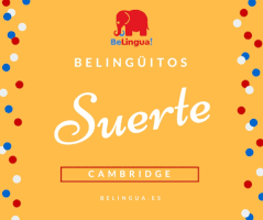 pedropluque b1 c1 first certificate belingua GIF