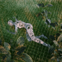 restless field GIF by alessiodevecchi