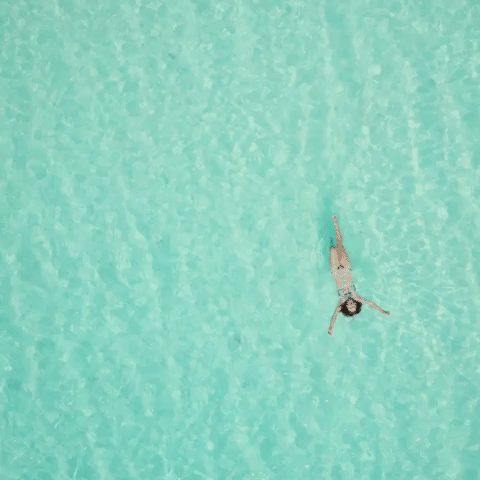 FBNC beach ocean island paradise GIF