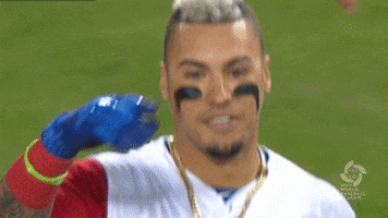 Puerto Rico Hair GIF by MLB