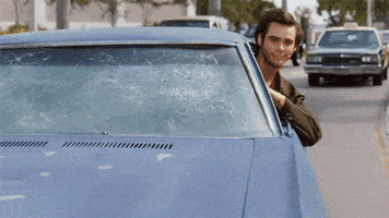 ace ventura deal with it GIF
