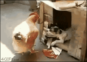 LoboTomy  GIF