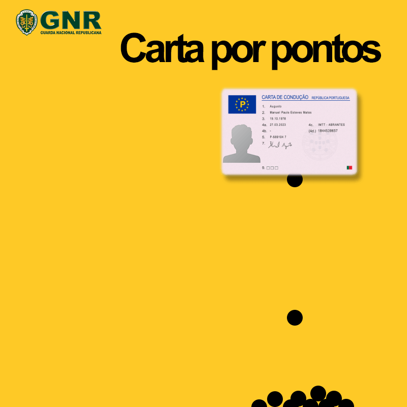 gnr  GIF