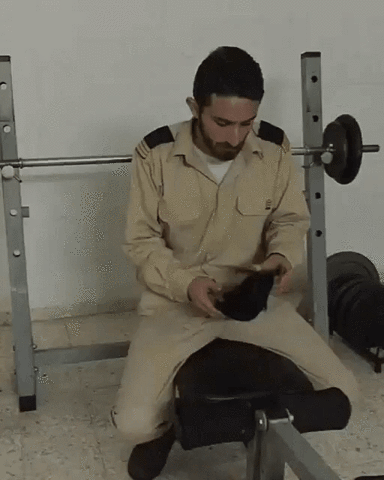 daniehg  GIF