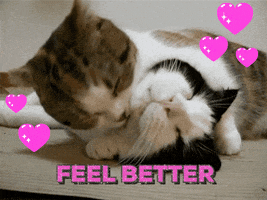 Feel Better Get Well Soon GIF by chuber channel