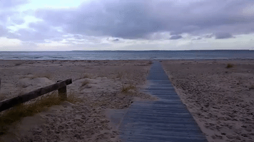 DougAubrey  GIF