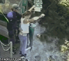 recepaltun  GIF