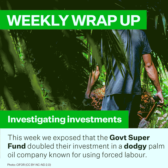 nzgreenparty environment green party aotearoa GIF