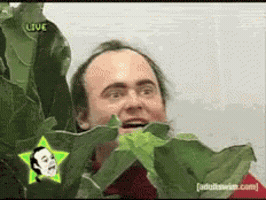 carisabogovski  GIF