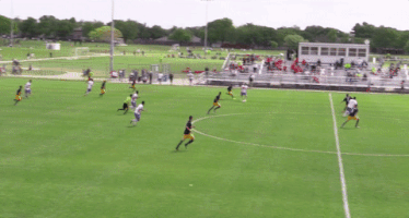 adamtfc  GIF