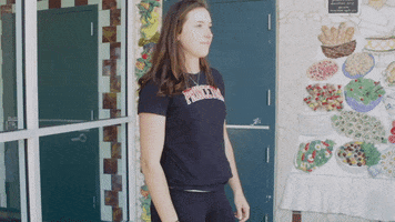 skimball  GIF