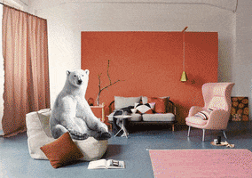 fragments interior #bear #rainbow GIF