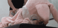 binhlong  GIF