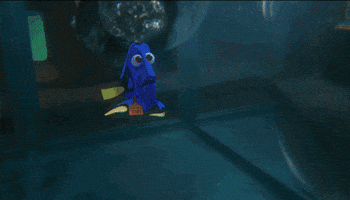 Finding Dory Octopus GIF by Disney/Pixar's Finding Dory