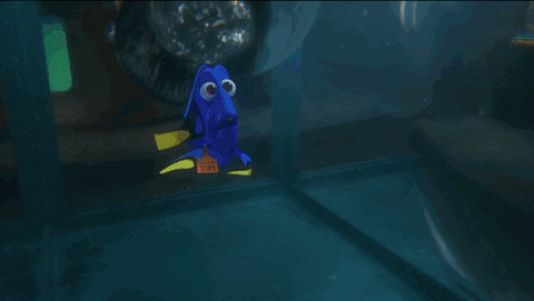Finding Dory Octopus GIF by Disney/Pixar's Finding Dory - Find & Share on GIPHY