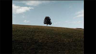 Six Feet Under GIF by HBO