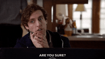 are you sure silicon valley GIF