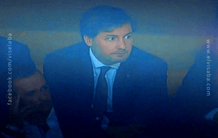 viselaba benfica slb slbenfica bdc GIF