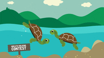 delwp_vic breathe turtles biodiversity bums GIF