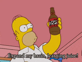 fantasyphish beer smart homer juice GIF