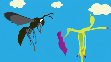 delwp_vic wasp biodiversity hammerorchid GIF