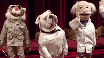 billdog GIF by America's Funniest Home Videos