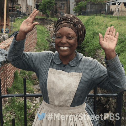 Happy L Scott Caldwell GIF by Mercy Street PBS