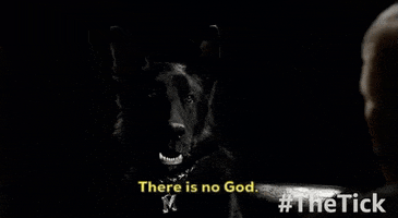 midnight there is only dog GIF by The Tick