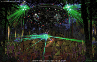 okeechobeefest dance music party festival GIF