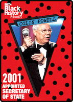 colin powell politics GIF by BET