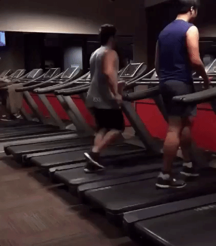 elmenjivar  GIF