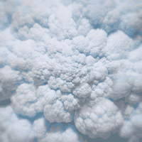 200.gif?cid=fc005b087ff1bf45953182580d50de3d51590c0283c82fb1&rid=200.gif&ct=g